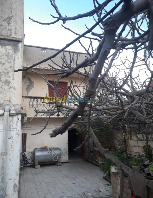 Vente Villa Blida Meftah