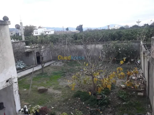 Vente Villa Blida Meftah