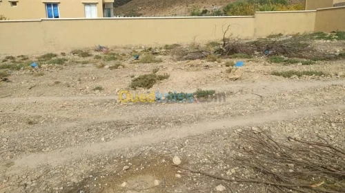 Vente Terrain Batna Ras el aioun