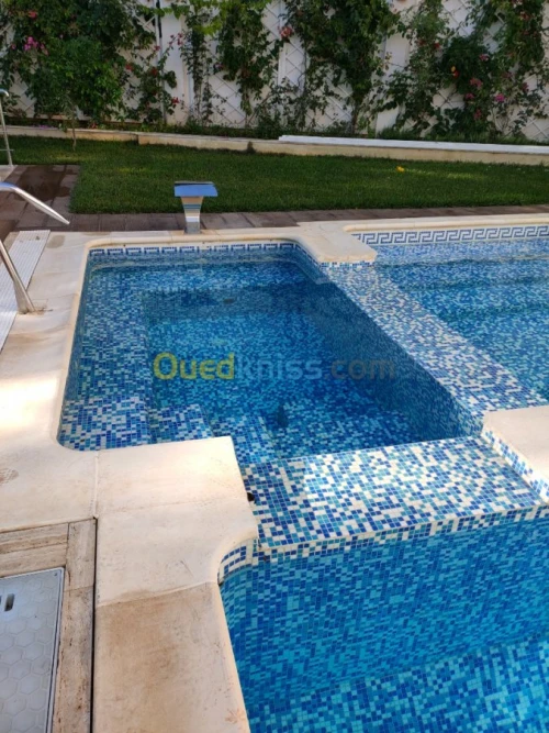 Construction piscine et  entretien 