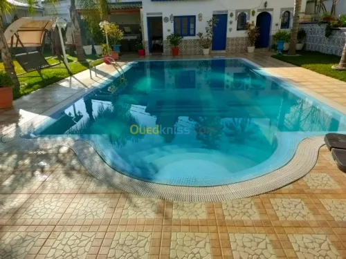 Construction piscine et  entretien 