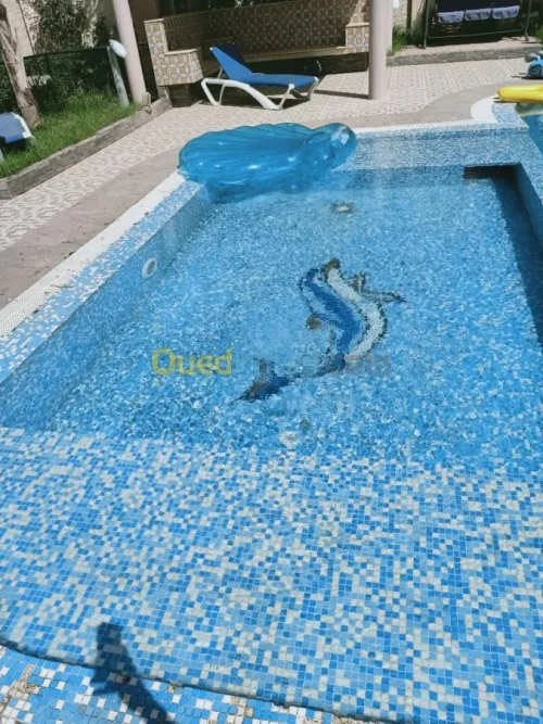 Construction piscine et  entretien 