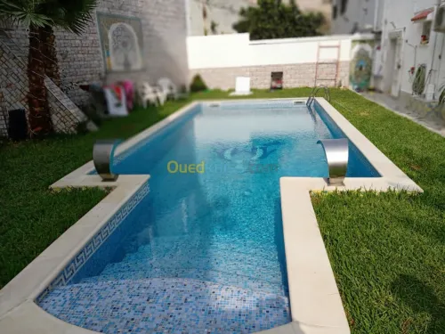 Construction piscine et  entretien 