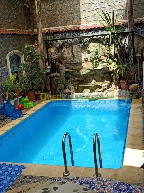 Construction piscine et  entretien 