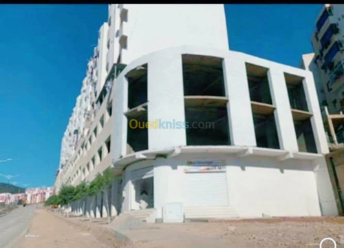 Vente Immeuble Skikda Skikda