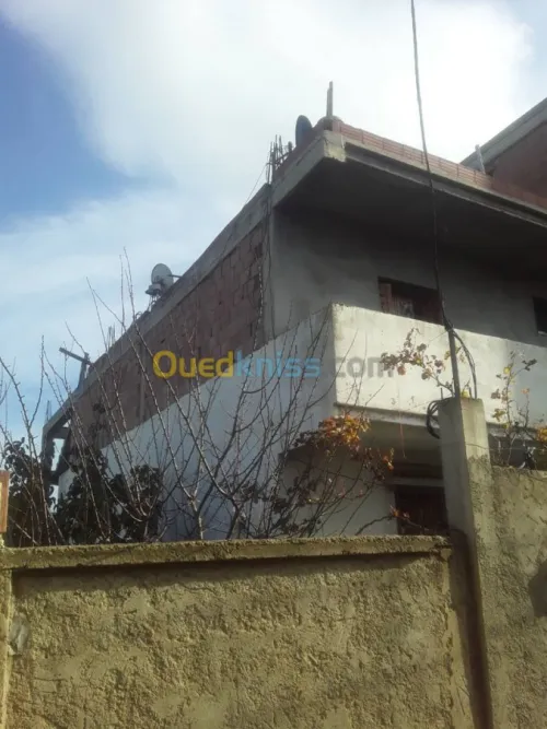 Vente Villa Blida Chebli