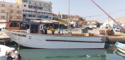 Perfect Boats  Sardinier 14,70m