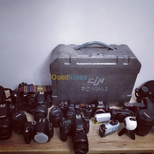 Canon nikon sony 