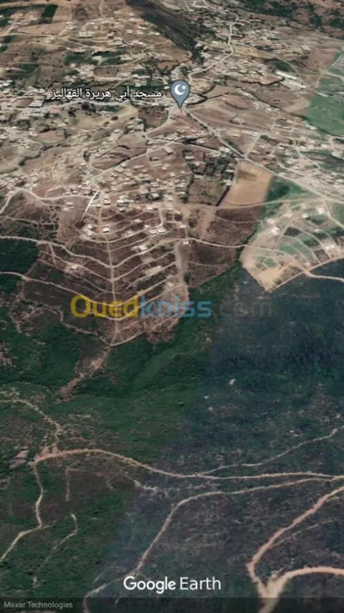 Vente Terrain Blida Djebara