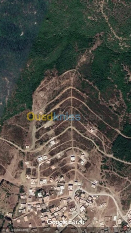 Vente Terrain Blida Djebara