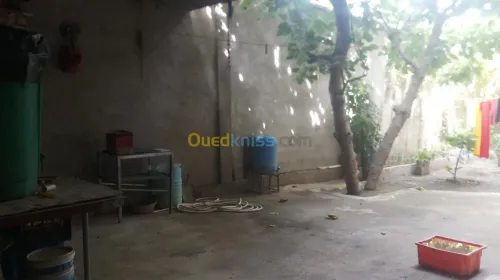 Vente Villa Blida Ouled selama