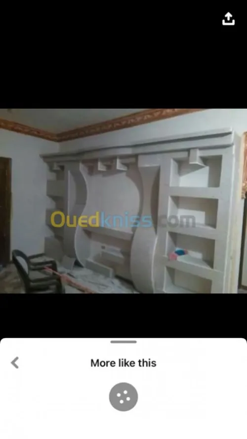 Placo pater B13