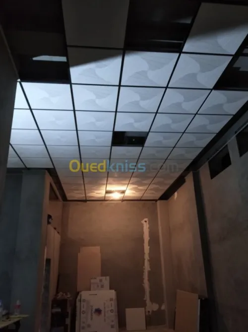 Tout type de faux plafond 