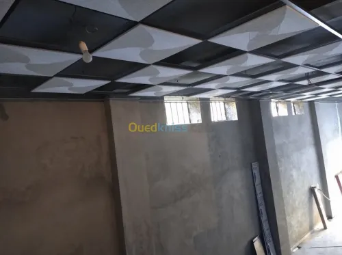 Tout type de faux plafond 
