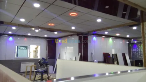 Tout type de faux plafond 