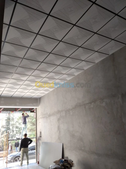 Tout type de faux plafond 