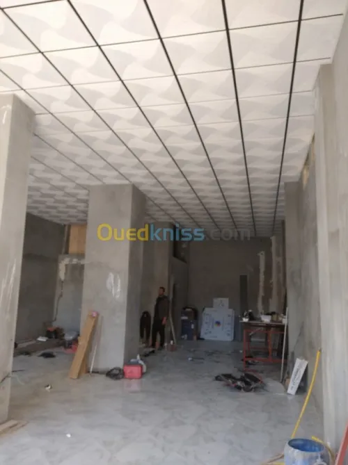 Tout type de faux plafond 