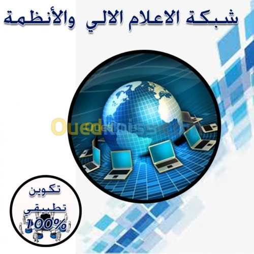  شبكة الاعلام الألى والانظمة
