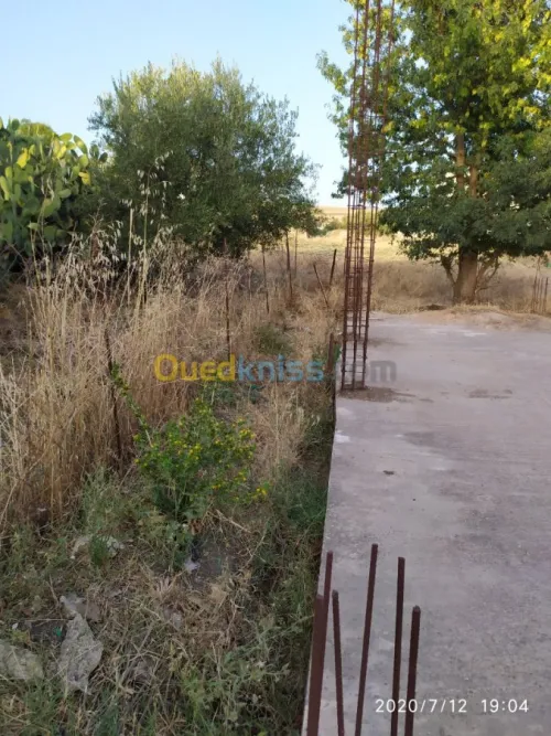 Vente Villa Mila Grarem gouga