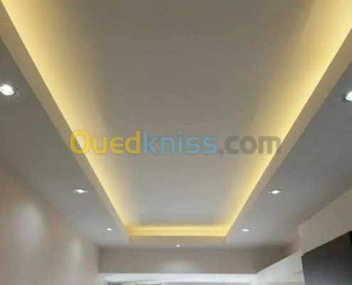 Vente et posé placo plâtre et pvc