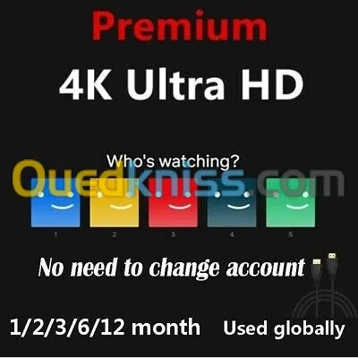 Netflix 1 year 4 screen 4K