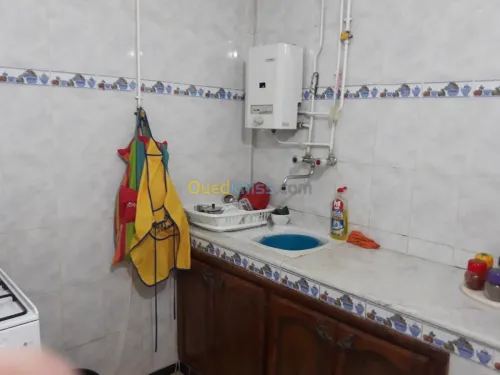 Vente Appartement F3 Chlef Chlef