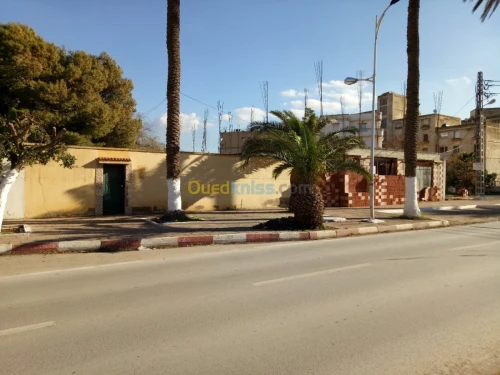 Vente Terrain Oran Arzew