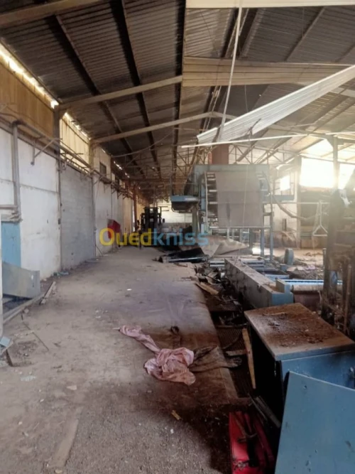 Location Hangar Alger Baraki