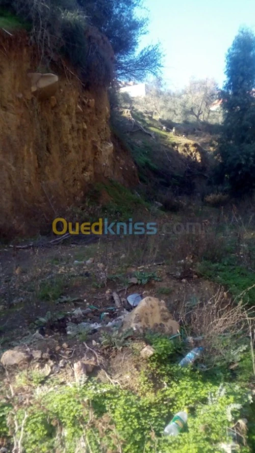 Vente Terrain Bejaia Sidi aich