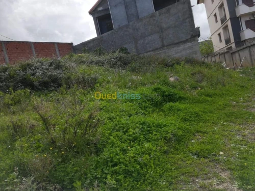 Vente Terrain Tizi ouzou Azeffoun