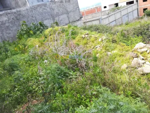 Vente Terrain Tizi ouzou Azeffoun