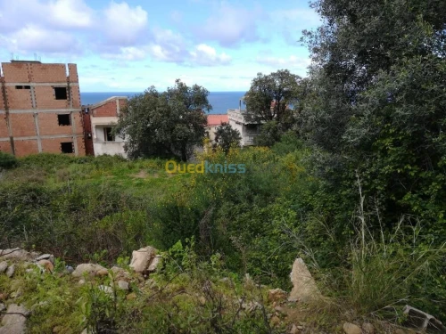 Vente Terrain Tizi ouzou Azeffoun