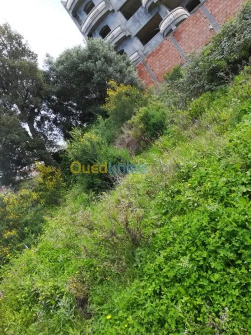Vente Terrain Tizi ouzou Azeffoun