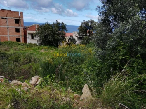 Vente Terrain Tizi ouzou Azeffoun