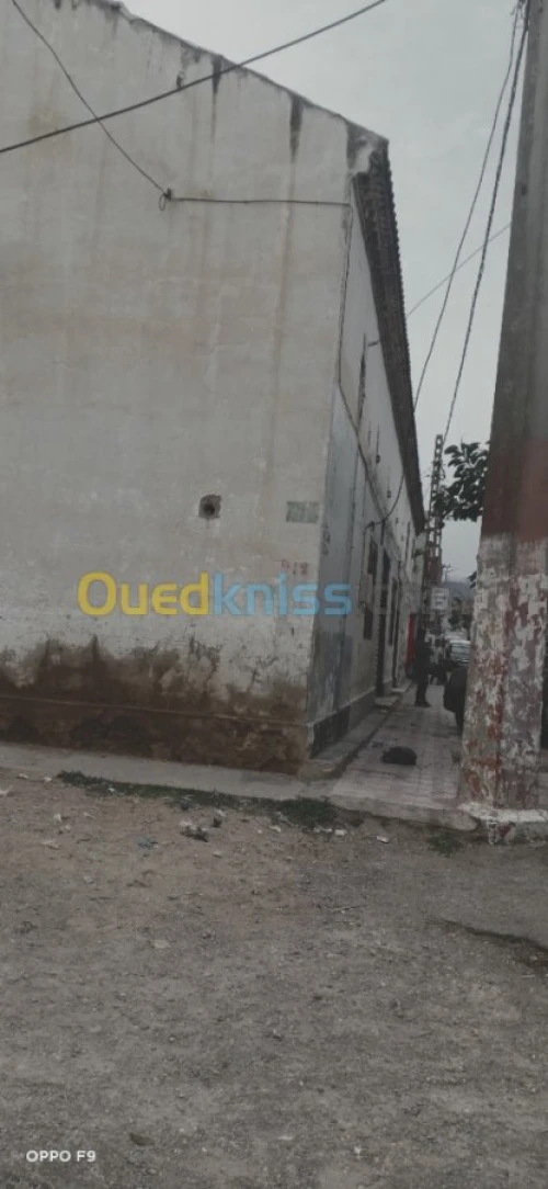 Location Local Oran Hassi ben okba