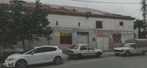 Location Local Oran Hassi ben okba
