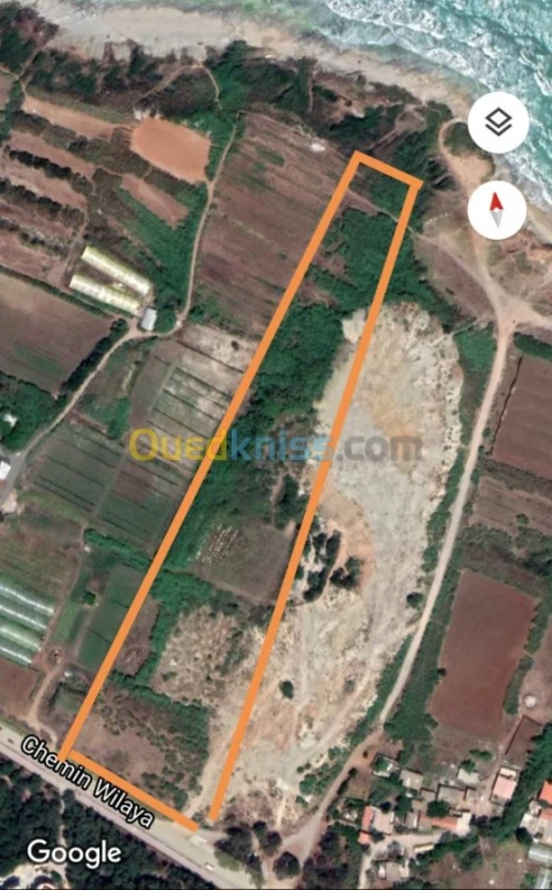 Vente Terrain Agricole Alger Ain taya