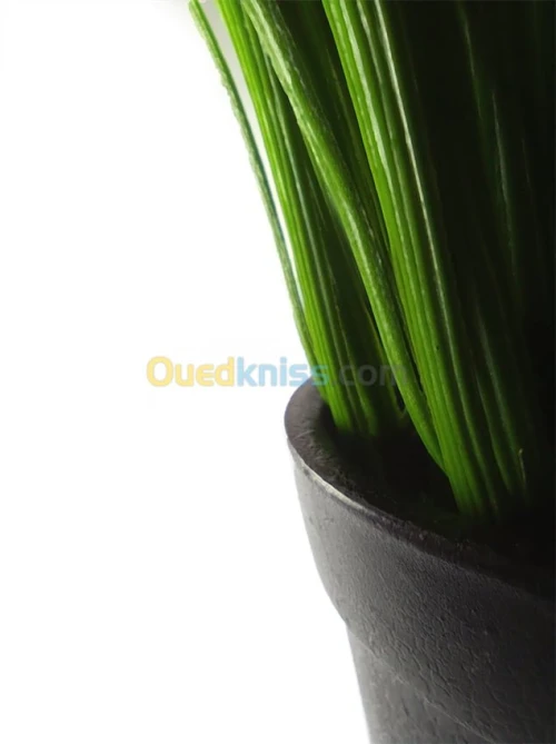 Plante de Décoration Artificielle