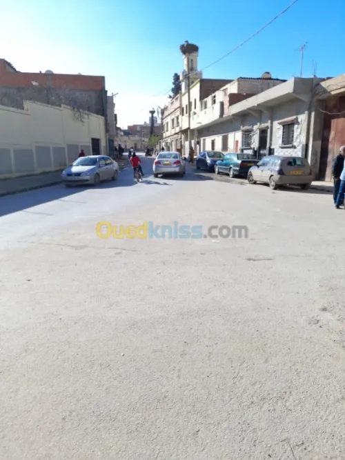 Vente Carcasse Relizane Relizane