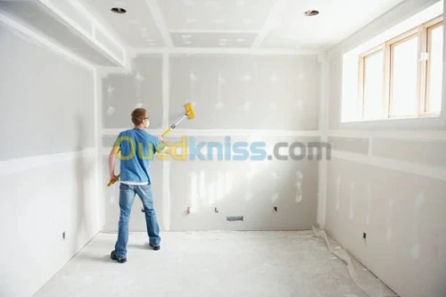 Placoplatre BA13 Travaux et décoration