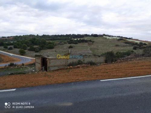 Vente Terrain Tipaza Cherchell