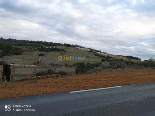 Vente Terrain Tipaza Cherchell