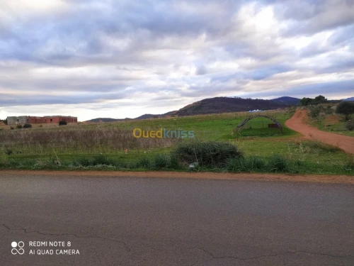 Vente Terrain Tipaza Cherchell