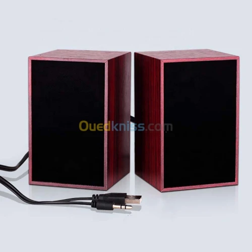 Haut Parleur Baffle SP241 Marron USB AUX pour PC LAPTOP Smartphone