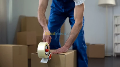 Algeria demenagement et easy move 
