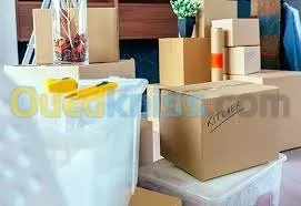 Algeria bilel demenagement 