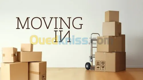 Move demenagement algeria company 16