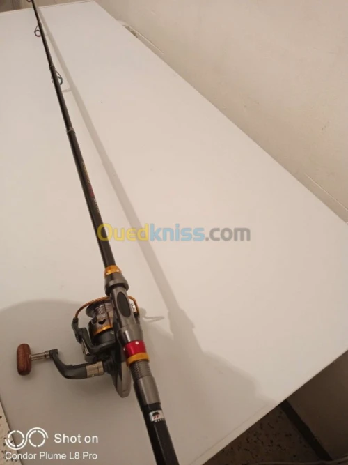 Canne a pêche avec moulinet