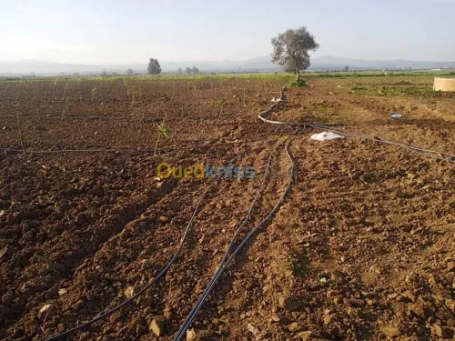 Cherche achat Terrain Annaba Eulma