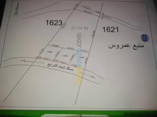 Vente Terrain Skikda Collo